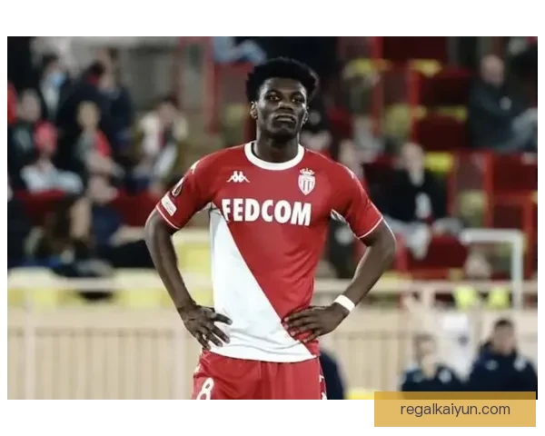 楚阿梅尼对抗能力提升